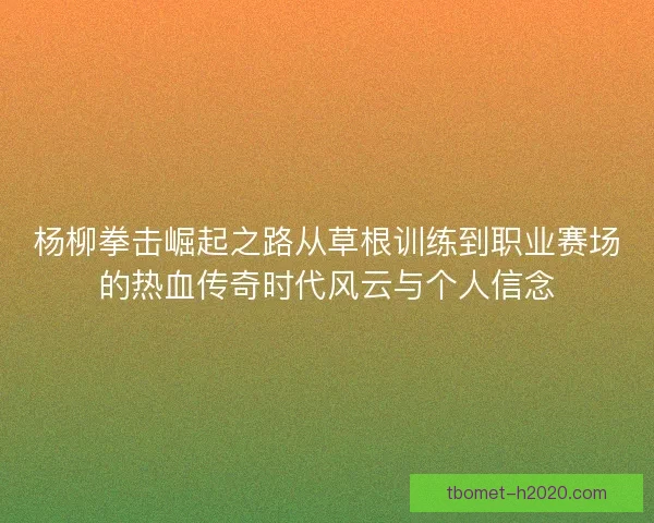 杨柳拳击崛起之路从草根训练到职业赛场的热血传奇时代风云与个人信念