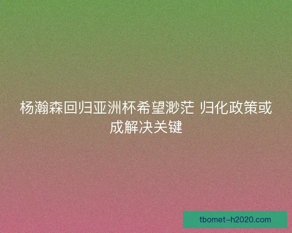 杨瀚森回归亚洲杯希望渺茫 归化政策或成解决关键