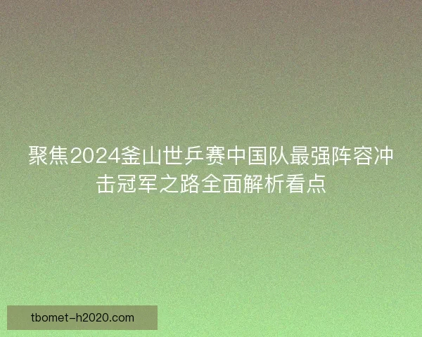 聚焦2024釜山世乒赛中国队最强阵容冲击冠军之路全面解析看点