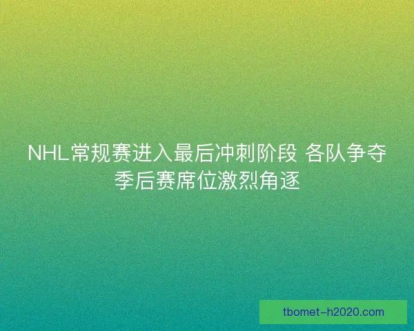 NHL常规赛进入最后冲刺阶段 各队争夺季后赛席位激烈角逐