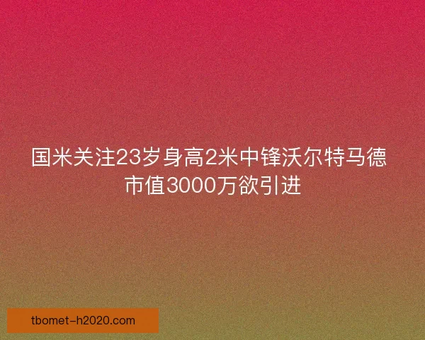 国米关注23岁身高2米中锋沃尔特马德 市值3000万欲引进